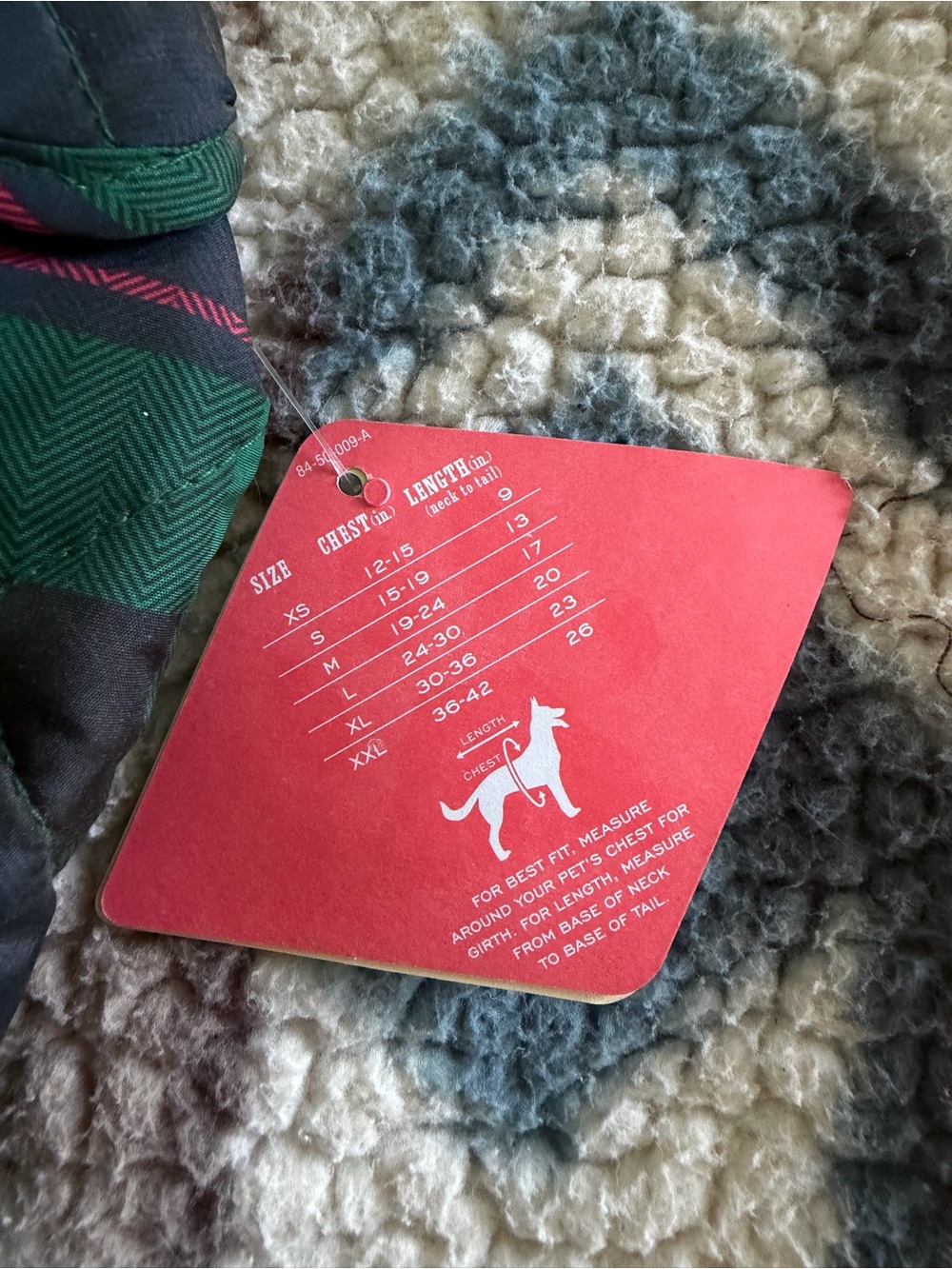 Dog jacket - Picture 3 of 4